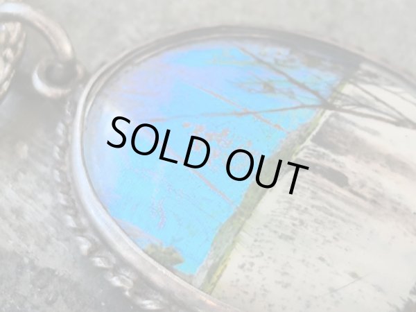 画像10: 【1900年代初期】【モルフォ蝶シルバージュエリー】【ヴィクトリアの滝】イギリス・アンティーク＆ヴィンテージ品 (10)