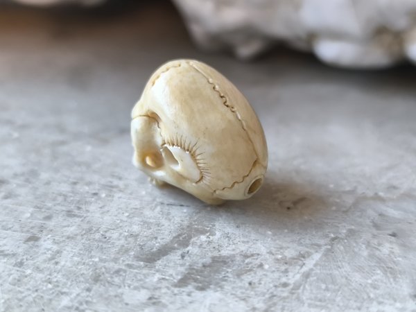 画像12: 【店主コレクション放出品11】【下顎無髑髏】【数珠用3m横穴】牙製 髑髏作家服部・髑髏根付・提げ物・彫刻・その他髑髏作品 (12)