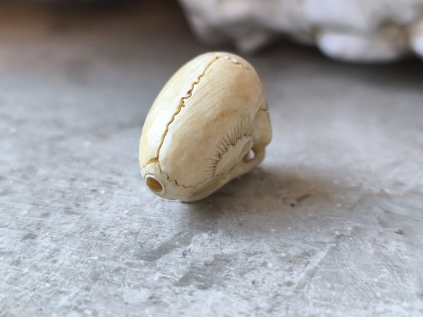 画像13: 【店主コレクション放出品11】【下顎無髑髏】【数珠用3m横穴】牙製 髑髏作家服部・髑髏根付・提げ物・彫刻・その他髑髏作品 (13)